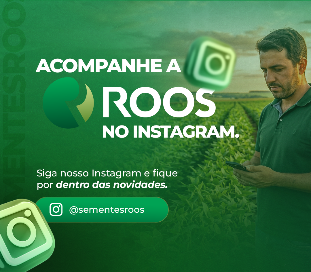 Perfil da Loja Roos no Instagram